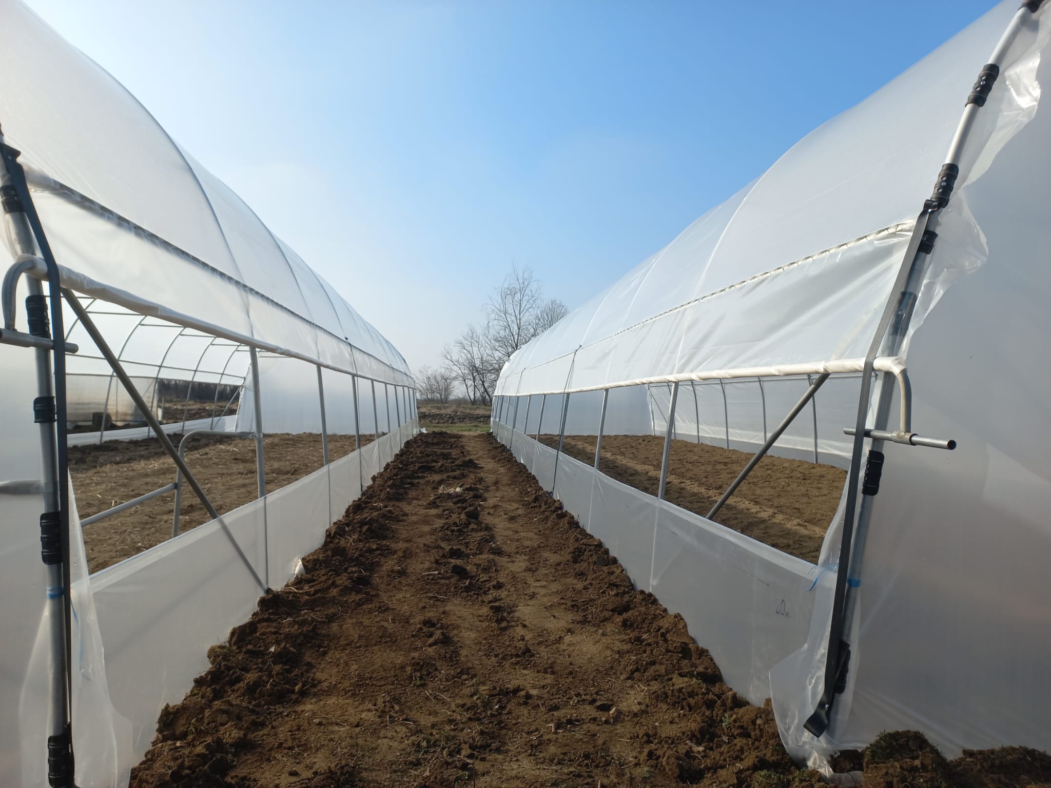 Solar 5m - imagine 3